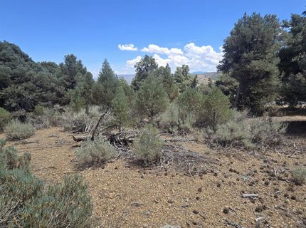 1548 Moss Circle, Gardnerville, NV 89410 Photo