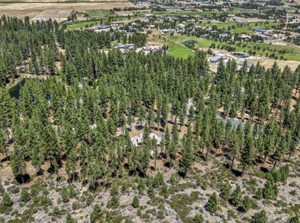 10 Franktown Court, Washoe Valley, NV 89704 Photo