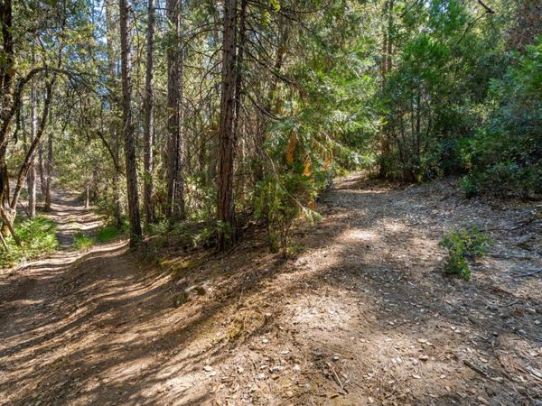 ., Placerville, CA 95667