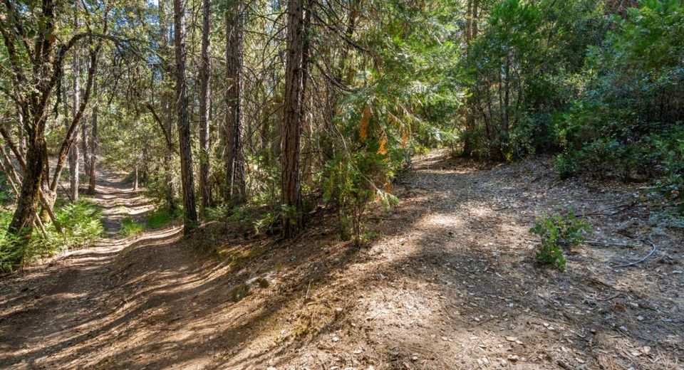 ., Placerville, CA 95667 Photo