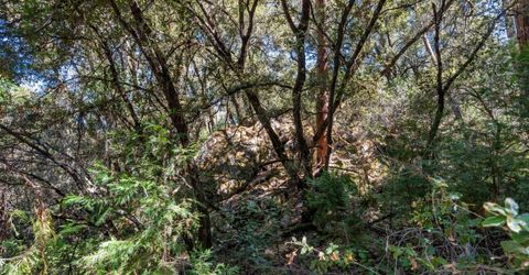 ., Placerville, CA 95667 Photo