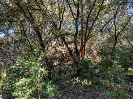 ., Placerville, CA 95667 Photo