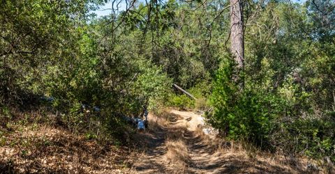 ., Placerville, CA 95667 Photo