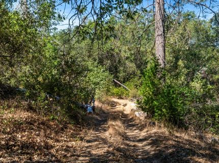 ., Placerville, CA 95667 Photo