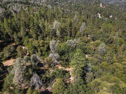 ., Placerville, CA 95667 Photo