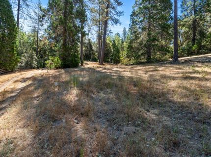 ., Placerville, CA 95667 Photo
