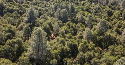 ., Placerville, CA 95667 Photo