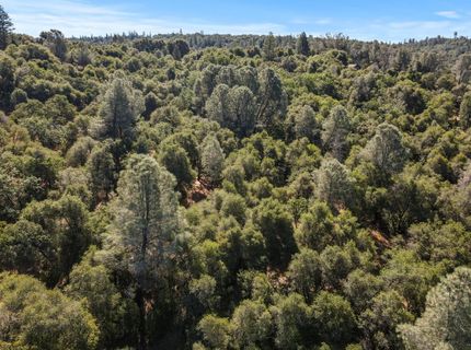 ., Placerville, CA 95667 Photo
