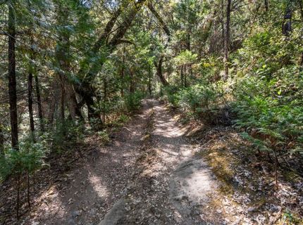 ., Placerville, CA 95667 Photo