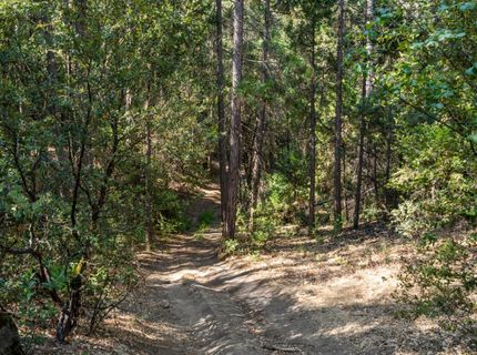 ., Placerville, CA 95667 Photo