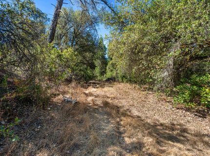 ., Placerville, CA 95667 Photo