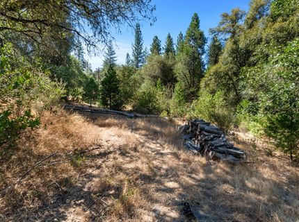 ., Placerville, CA 95667 Photo