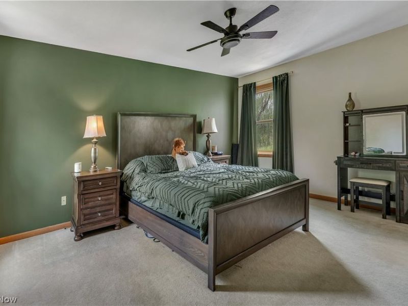 8241 Akron Canfield Road, Canfield, OH 44406 Photo 23