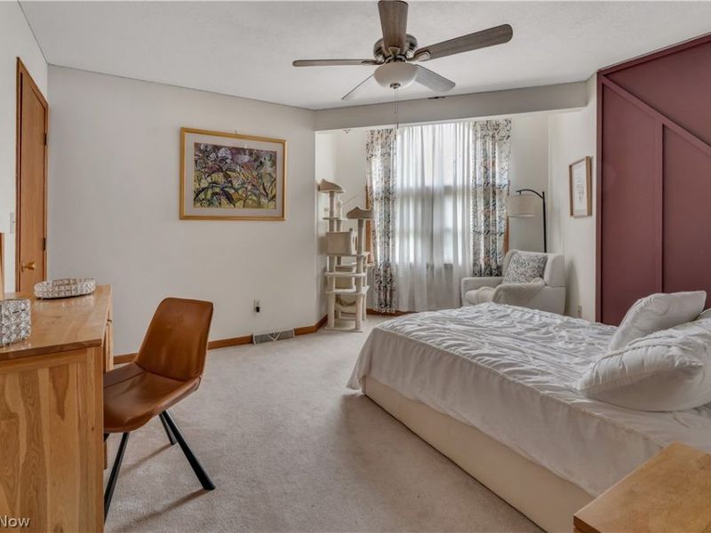 8241 Akron Canfield Road, Canfield, OH 44406 Photo 27