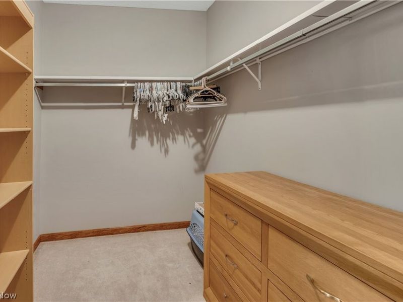 8241 Akron Canfield Road, Canfield, OH 44406 Photo 29