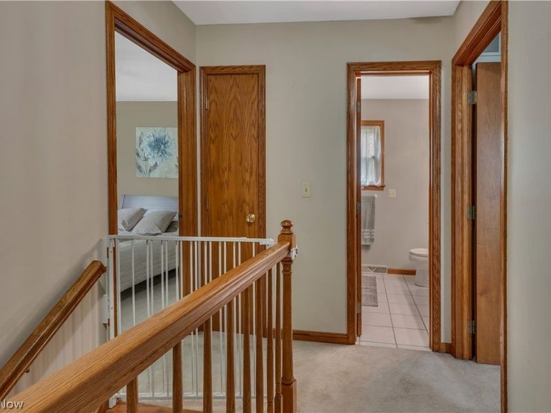 8241 Akron Canfield Road, Canfield, OH 44406 Photo 33