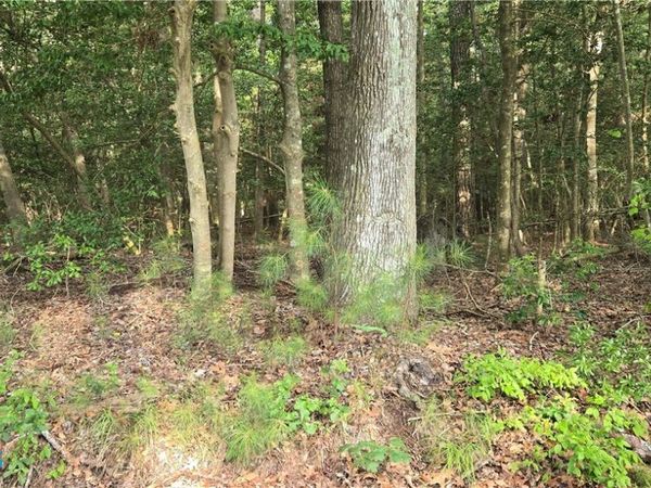 0 Chesapeake Drive , Gwynn, VA 23066