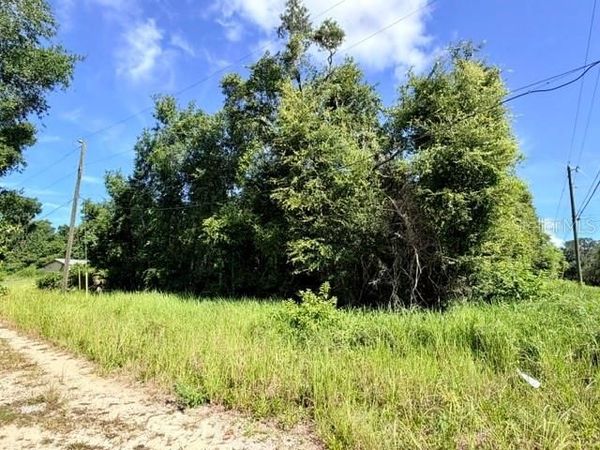 NE 249TH COURT , SALT SPRINGS, FL 32134