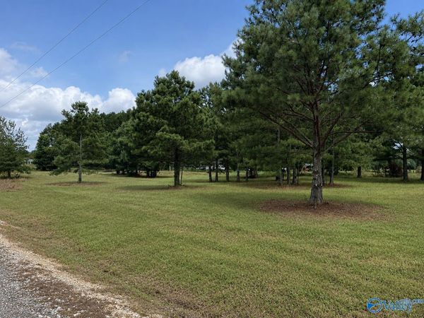 Lot 2 Rachel Lane, Centre, AL 35960