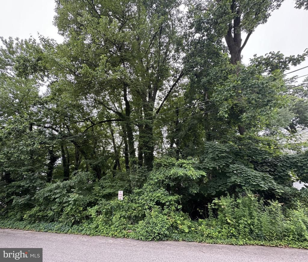 0 Ash Road, Wallingford, PA 19086 Main Photo