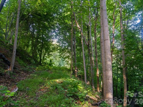00 Ragans Pointe Pointe , Columbus, NC 28722