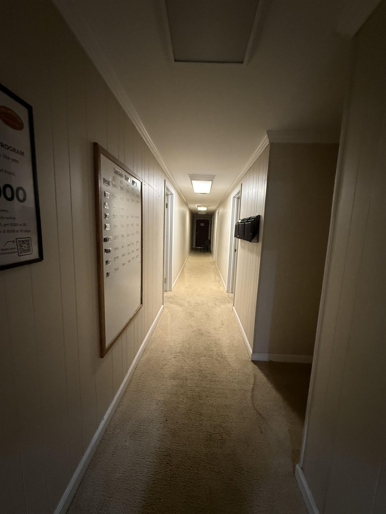 3995 Walnut St.  Photo 6
