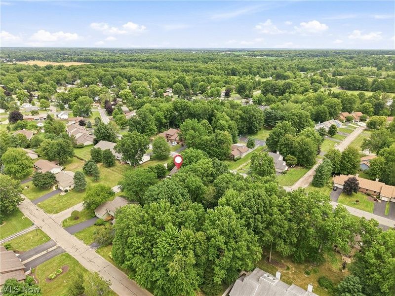 125 Diamond Way, Cortland, OH 44410 Photo 49