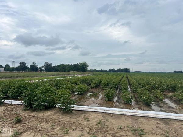 1 cr 312, McDougal, AR 72441