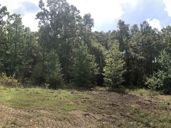 Vilonia, AR 72173