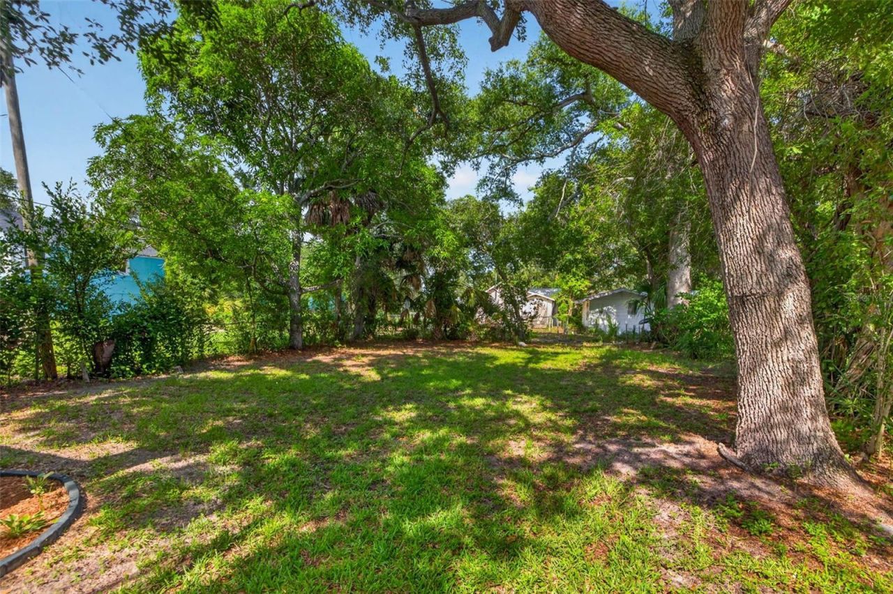 2042 14th Street S, Saint Petersburg, FL 33705 Photo