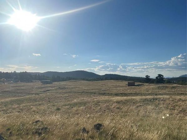 290 Castle Mountain Drive, Florissant, CO 80816