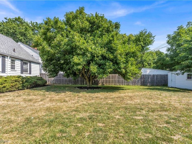 1187 Winston Road, South Euclid, OH 44121 Photo 23
