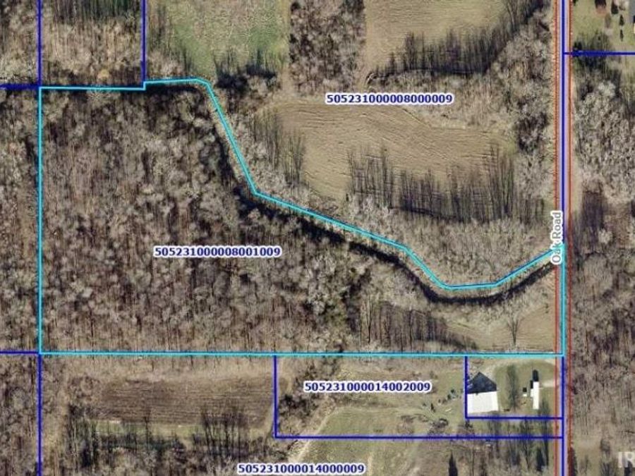 Property Image 4