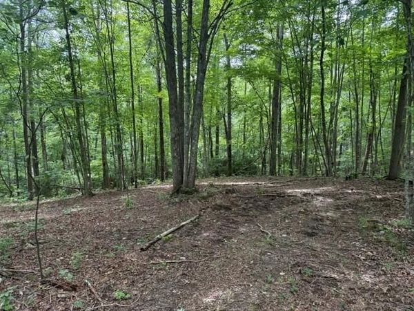 3b S Pittsburg Mountain Road, South Pittsburg, TN 37380