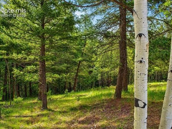 123 Ellis Lake Circle, Divide, CO 80814