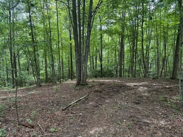 3 S Pittsburg Mountain Road, Unit 3b, South Pittsburg, TN 37380