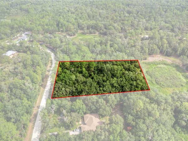 10497 YELLOWLEGS AVENUE , WEEKI WACHEE, FL 34614