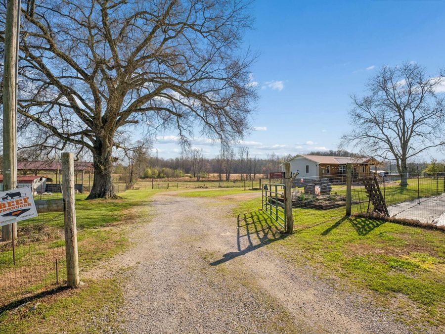 Property Image 60