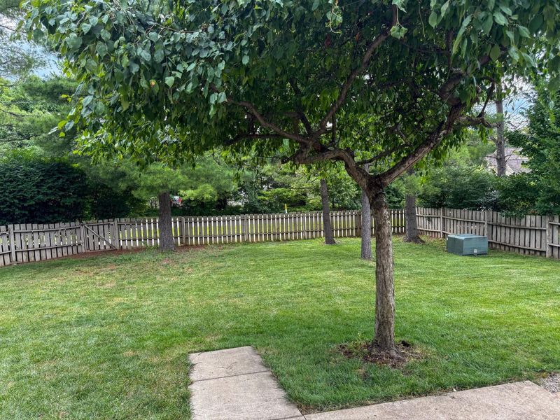 621 Valley Wood Court , Westerville, OH 43081 Photo 36