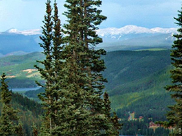 465 Quandary View Dr, Breckenridge, CO 80424