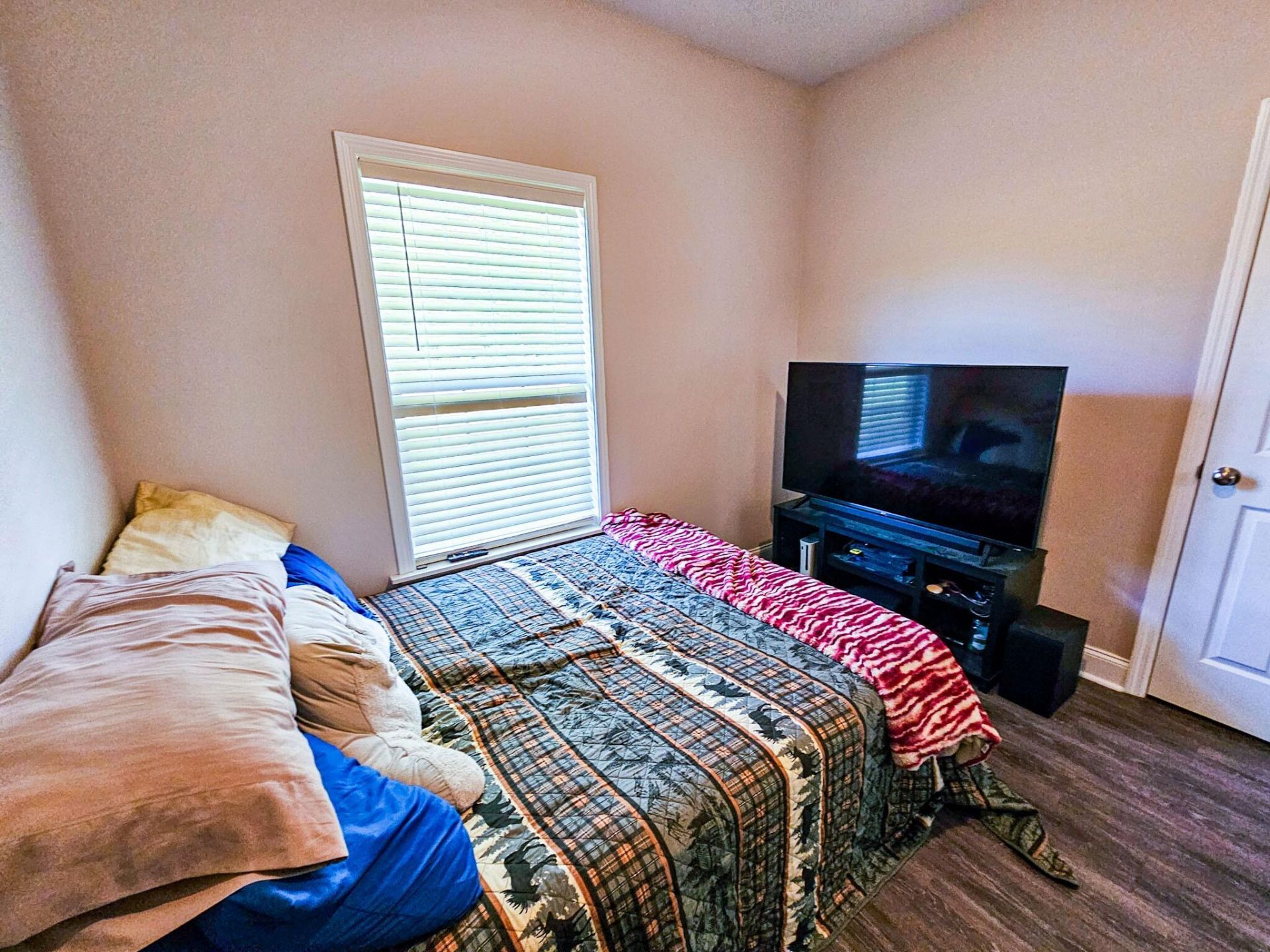 303 David Street Photo 16
