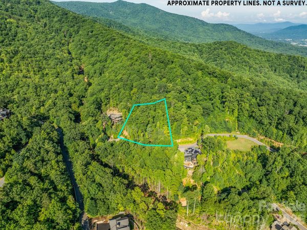 59 Old Greybeard Loop , Black Mountain, NC 28711