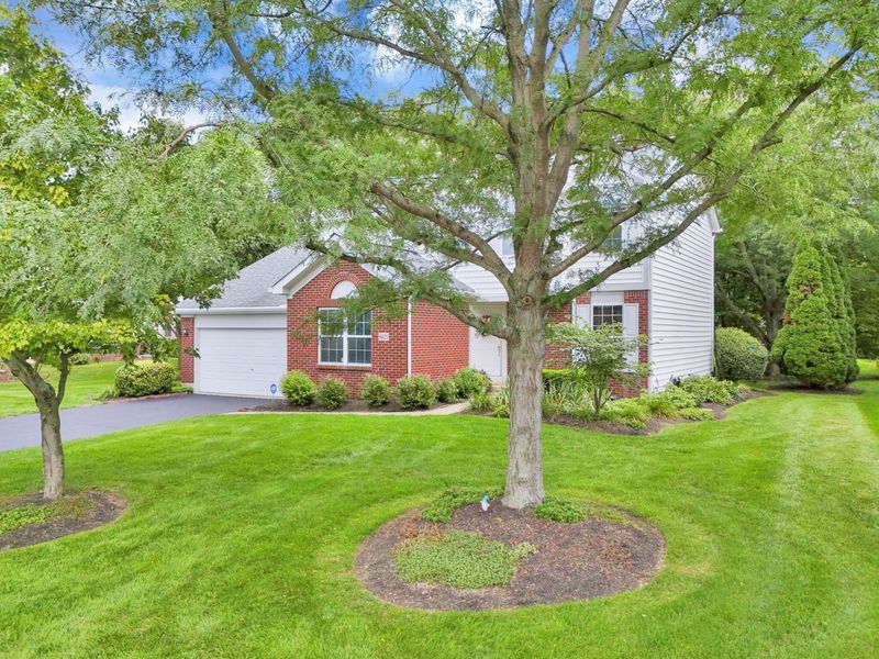 9425 Big Bear Avenue, Powell, OH 43065 Photo 3