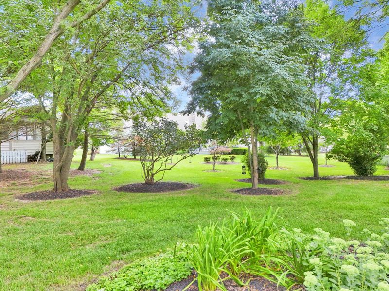 9425 Big Bear Avenue, Powell, OH 43065 Photo 49