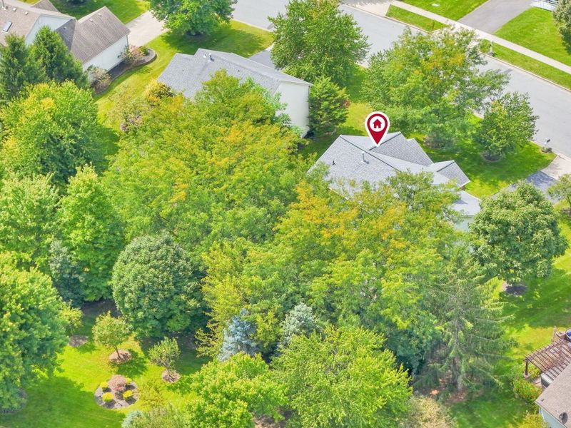 9425 Big Bear Avenue, Powell, OH 43065 Photo 57