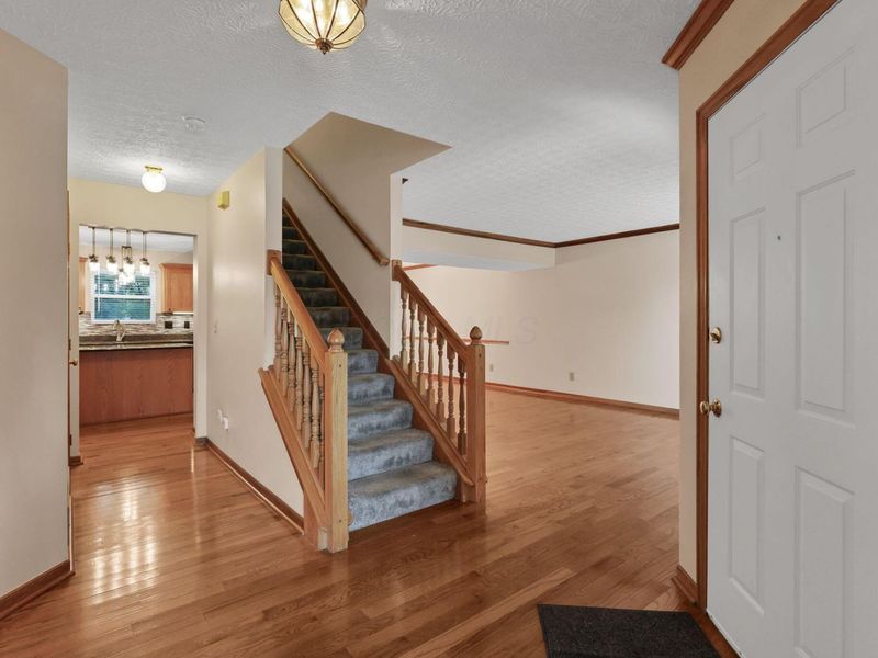 9425 Big Bear Avenue, Powell, OH 43065 Photo 7