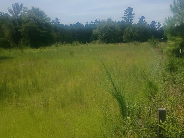 608 Scottland Towns Road, Mcrae, GA 31055