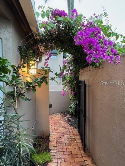 200 Cocoanut Avenue , Unit 7, Sarasota, FL 34236 Photo