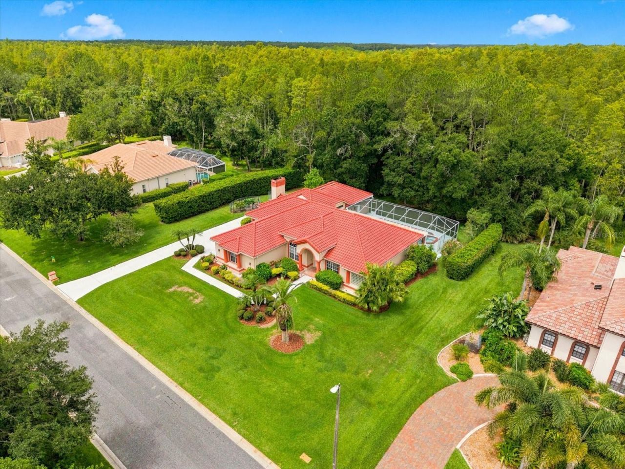 18621 Avenue Capri, Lutz, FL 33558 Photo