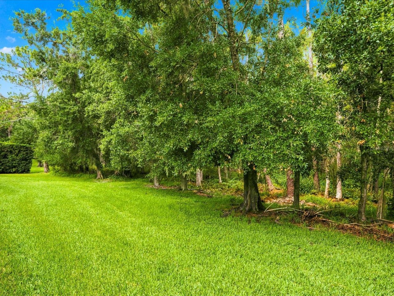 18621 Avenue Capri, Lutz, FL 33558 Photo